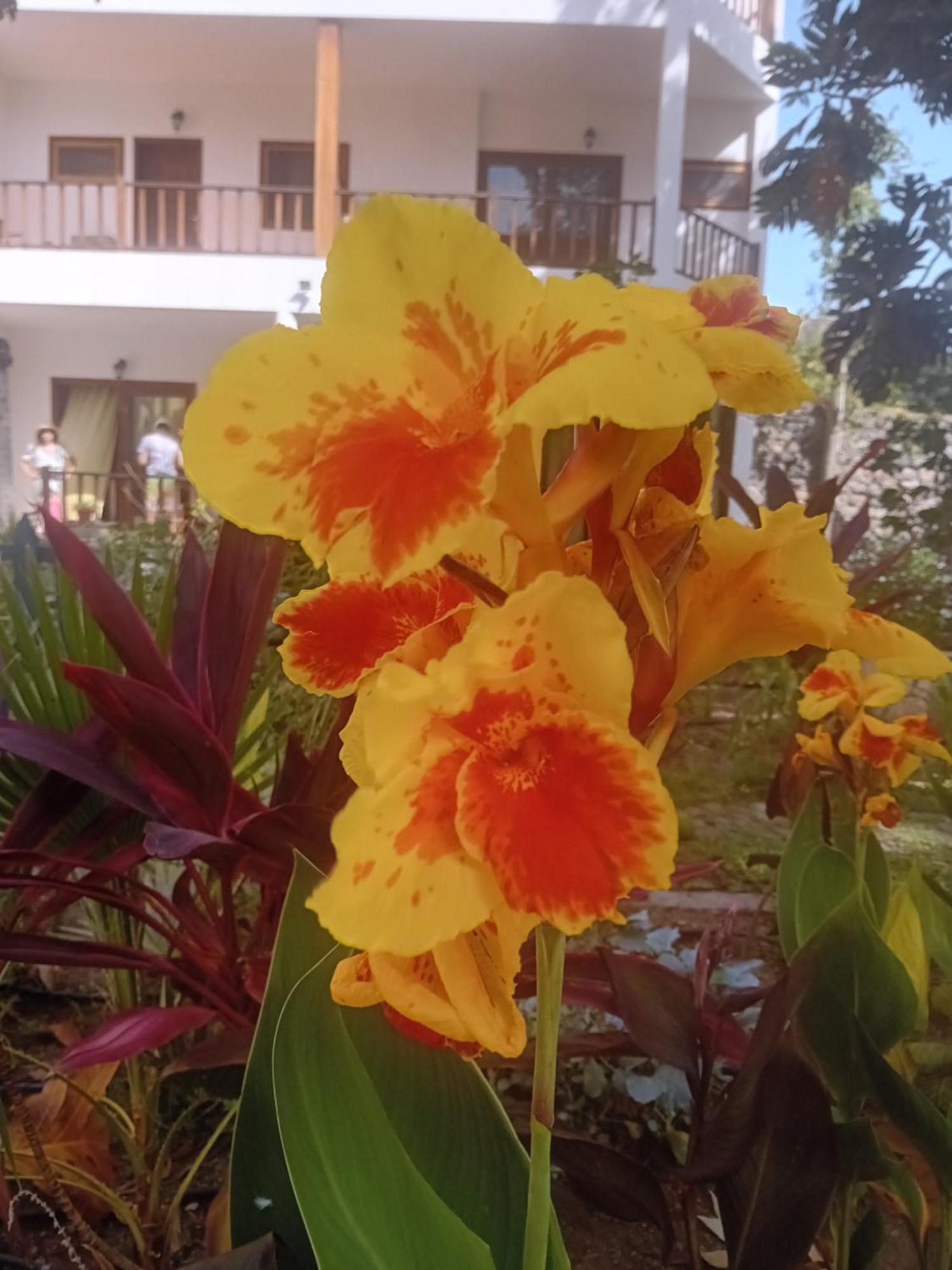 Oasis Paul Residencial Hotel Exterior photo